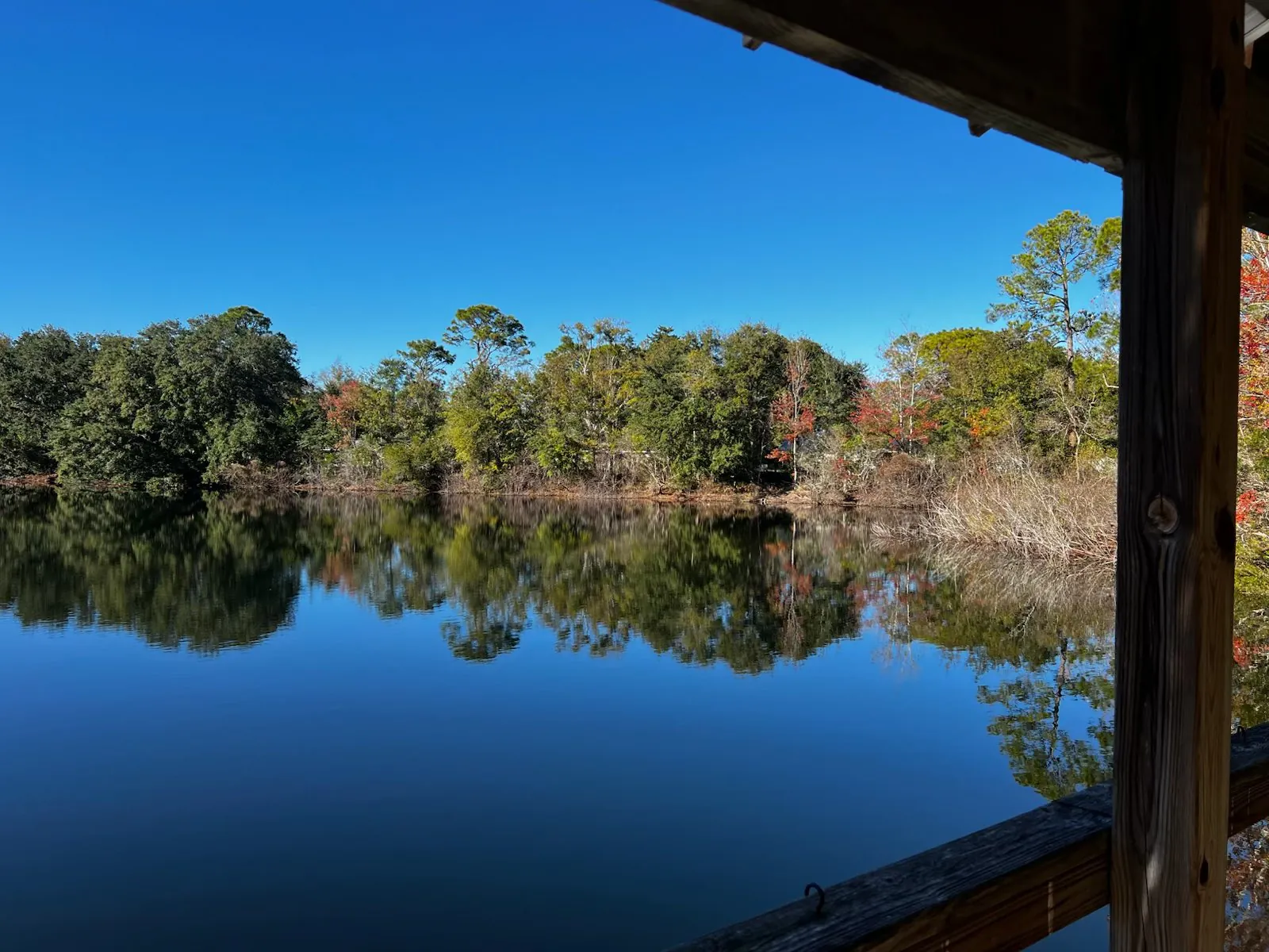 Calm lake framed by trees, seen from the retreat's dock